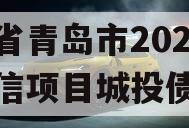 山东省青岛市2023年政信项目城投债定融