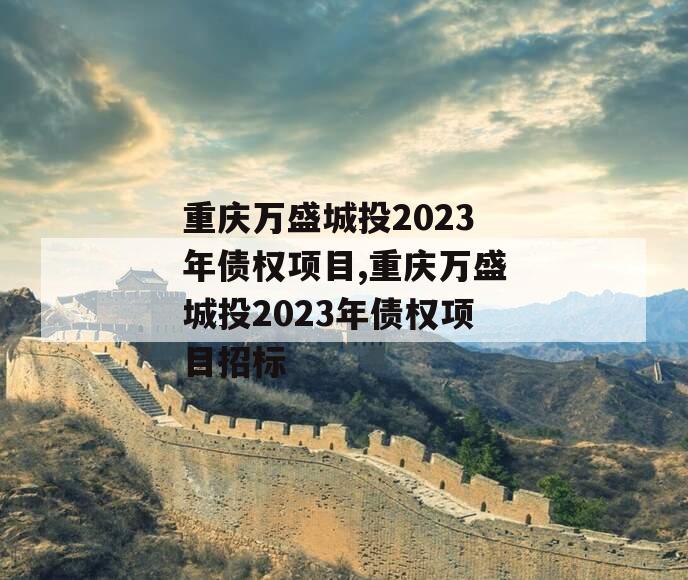 重庆万盛城投2023年债权项目,重庆万盛城投2023年债权项目招标