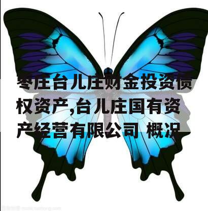 枣庄台儿庄财金投资债权资产,台儿庄国有资产经营有限公司 概况