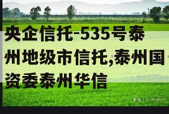 央企信托-535号泰州地级市信托,泰州国资委泰州华信