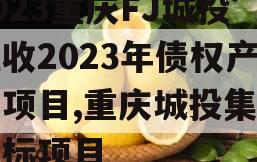 2023重庆FJ城投应收2023年债权产品项目,重庆城投集团招标项目