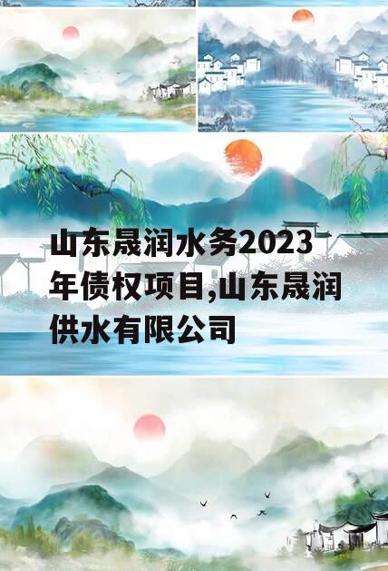 山东晟润水务2023年债权项目,山东晟润供水有限公司