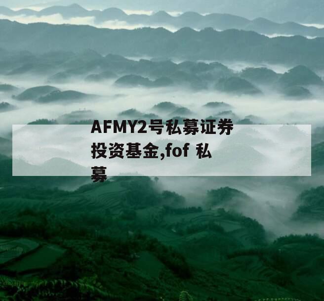 AFMY2号私募证券投资基金,fof 私募