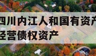 四川内江人和国有资产经营债权资产