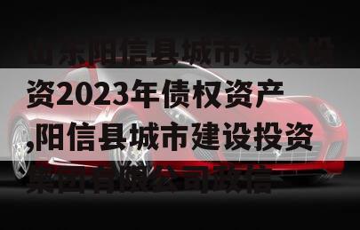 山东阳信县城市建设投资2023年债权资产,阳信县城市建设投资集团有限公司政信