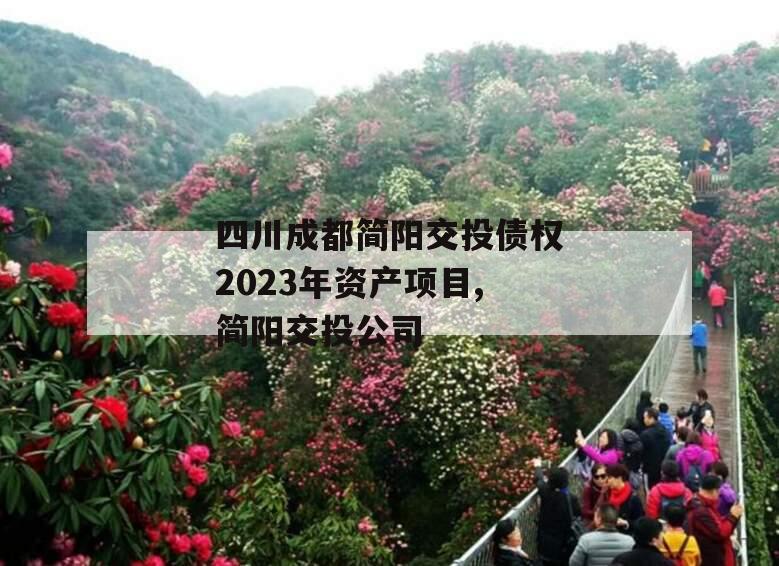 四川成都简阳交投债权2023年资产项目,简阳交投公司