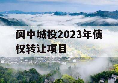 阆中城投2023年债权转让项目