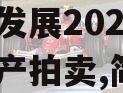 四川成都简阳市现代工业投资发展2023年债权资产拍卖,简阳市法院拍卖公告