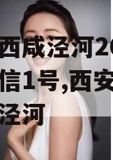 西安西咸泾河2024年政信1号,西安西咸新区泾河