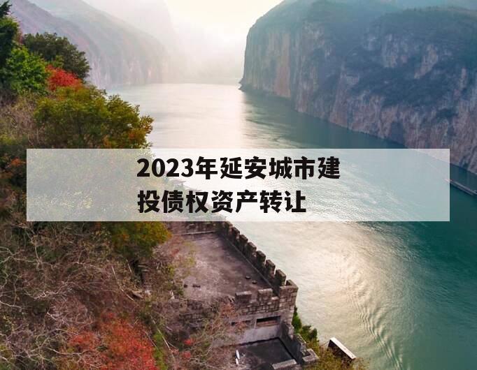 2023年延安城市建投债权资产转让