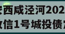 西安西咸泾河2024年政信1号城投债定融