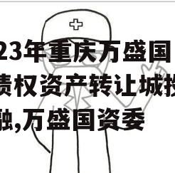 2023年重庆万盛国资债权资产转让城投债定融,万盛国资委