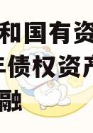 内江人和国有资产经营2023年债权资产城投债定融