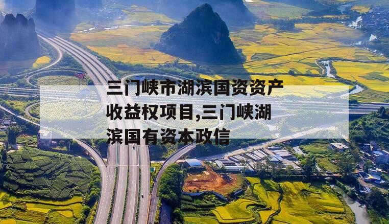 三门峡市湖滨国资资产收益权项目,三门峡湖滨国有资本政信