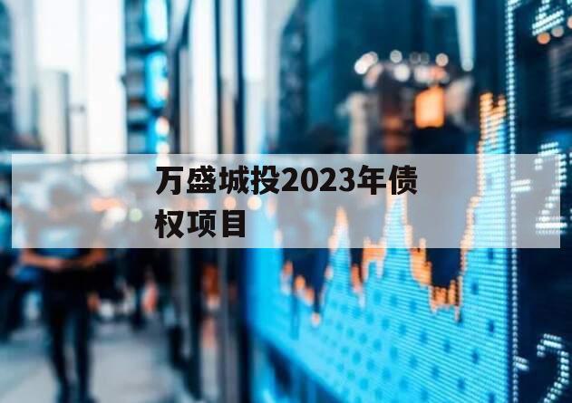 万盛城投2023年债权项目