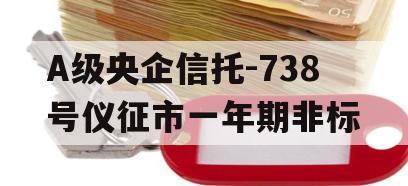 A级央企信托-738号仪征市一年期非标