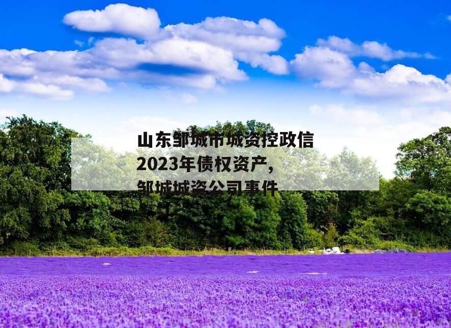 山东邹城市城资控政信2023年债权资产,邹城城资公司事件