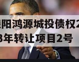 饶阳鸿源城投债权2023年转让项目2号