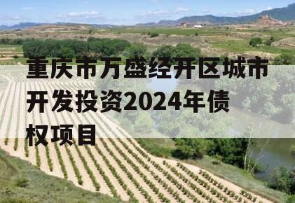 重庆市万盛经开区城市开发投资2024年债权项目