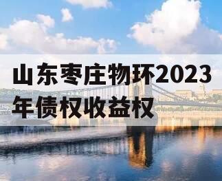 山东枣庄物环2023年债权收益权