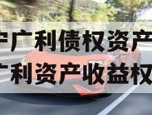 遂宁广利债权资产,遂宁广利资产收益权1号