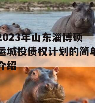 2023年山东淄博硕运城投债权计划的简单介绍