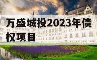 万盛城投2023年债权项目