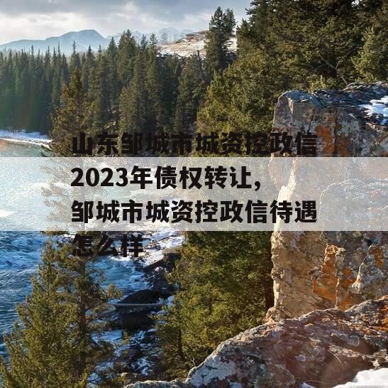 山东邹城市城资控政信2023年债权转让,邹城市城资控政信待遇怎么样