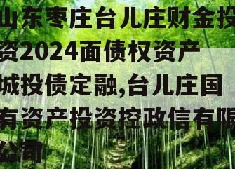 山东枣庄台儿庄财金投资2024面债权资产城投债定融,台儿庄国有资产投资控政信有限公司