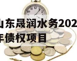 山东晟润水务2023年债权项目