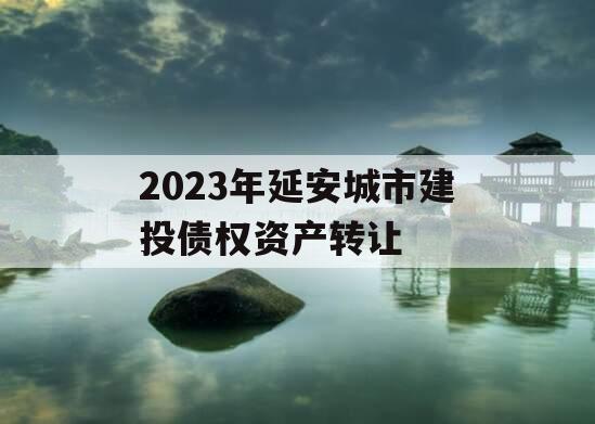 2023年延安城市建投债权资产转让