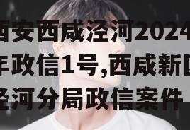 西安西咸泾河2024年政信1号,西咸新区泾河分局政信案件