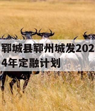 郓城县郓州城发2024年定融计划