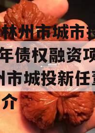 河南林州市城市投资2024年债权融资项目,林州市城投新任董事长简介