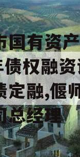 偃师市国有资产经营2024年债权融资计划城投债定融,偃师市国资公司总经理