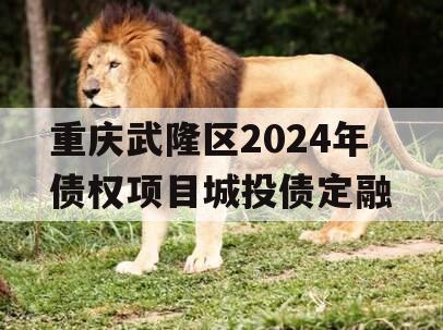 重庆武隆区2024年债权项目城投债定融