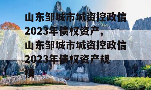 山东邹城市城资控政信2023年债权资产,山东邹城市城资控政信2023年债权资产规模