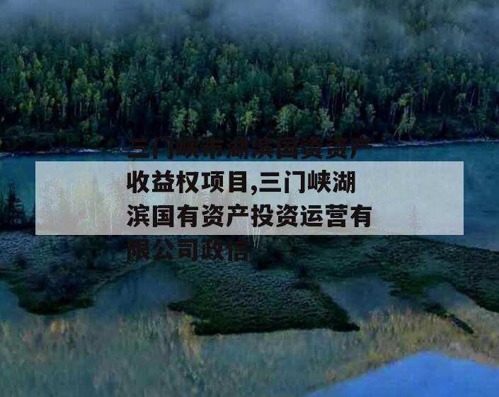 三门峡市湖滨国资资产收益权项目,三门峡湖滨国有资产投资运营有限公司政信