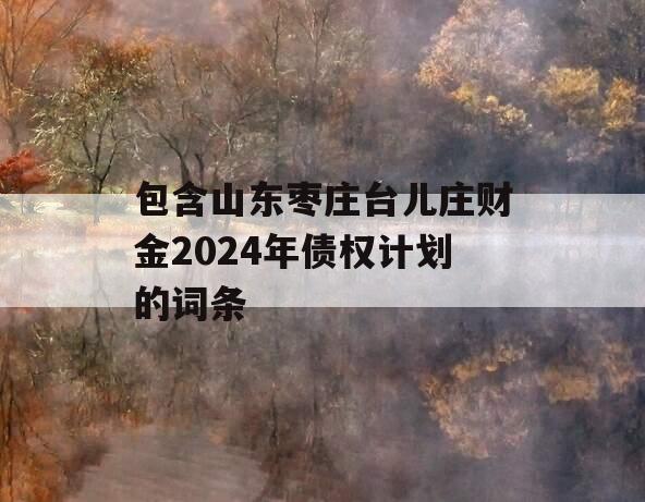 包含山东枣庄台儿庄财金2024年债权计划的词条