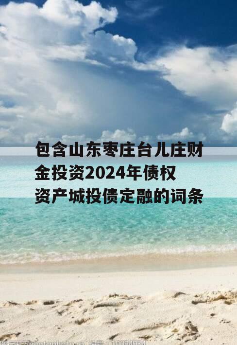 包含山东枣庄台儿庄财金投资2024年债权资产城投债定融的词条