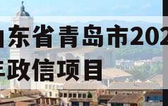 山东省青岛市2023年政信项目