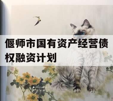 偃师市国有资产经营债权融资计划