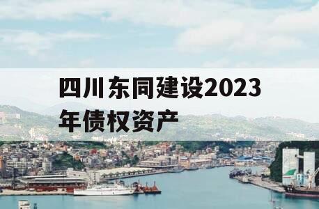 四川东同建设2023年债权资产