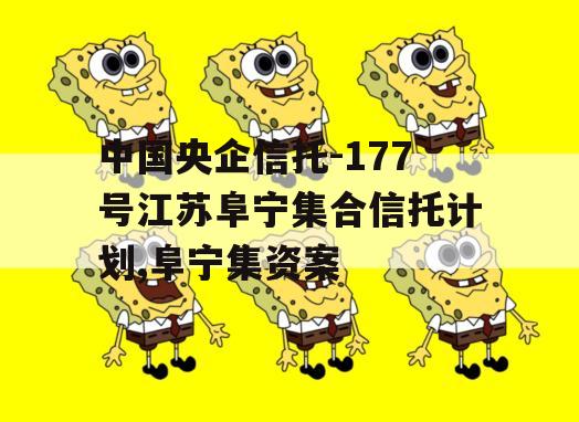 中国央企信托-177号江苏阜宁集合信托计划,阜宁集资案