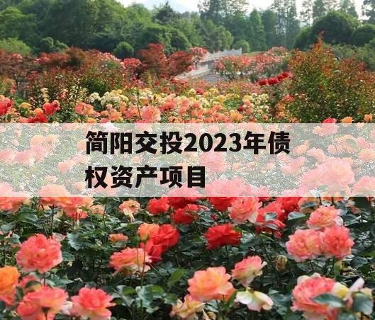 简阳交投2023年债权资产项目