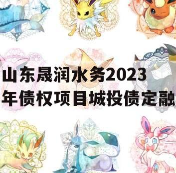 山东晟润水务2023年债权项目城投债定融