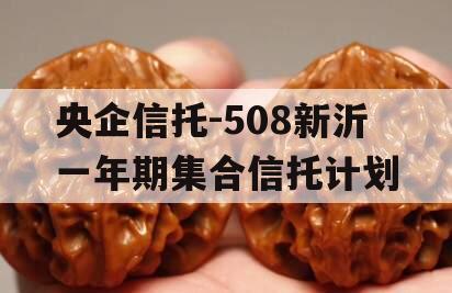 央企信托-508新沂一年期集合信托计划