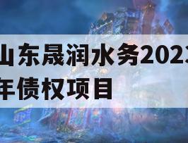 山东晟润水务2023年债权项目