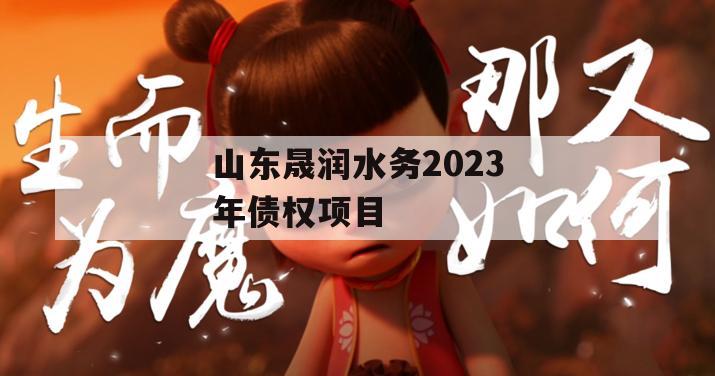 山东晟润水务2023年债权项目