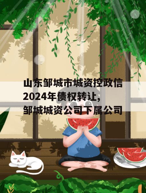 山东邹城市城资控政信2024年债权转让,邹城城资公司下属公司